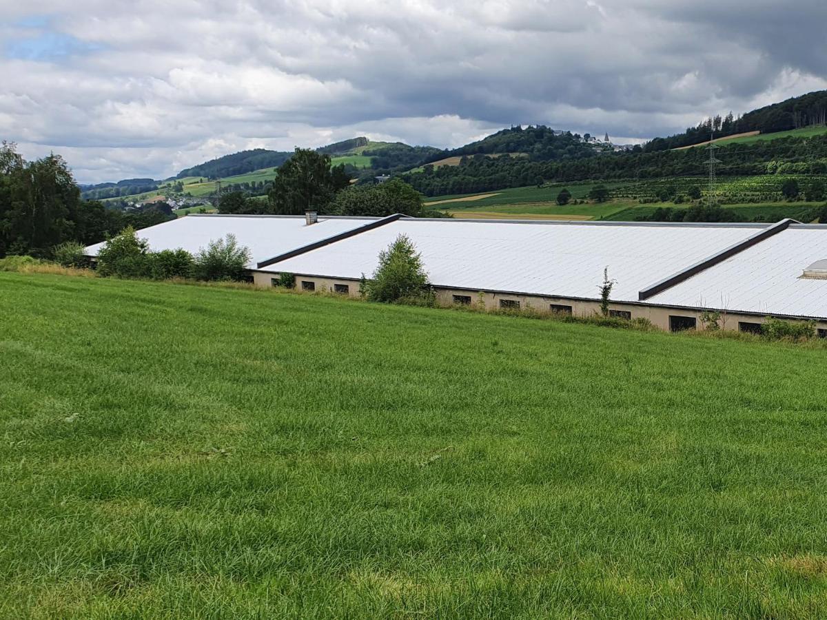 Ferienwohnungen Am Finkenweg Bestwig Exteriör bild